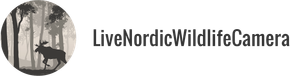 Logo text